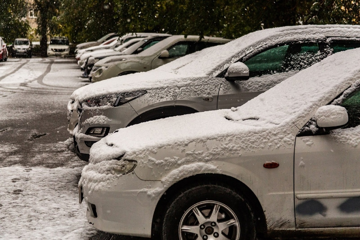 Фото: Густаво Зырянов, BFM-Новосибирск