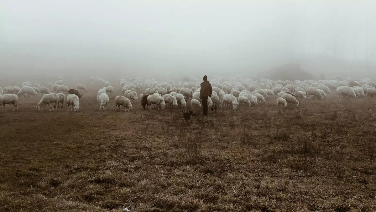     Автор: Unsplash