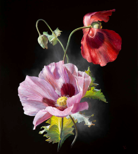 Источник изображения : сайт художника   https://www.paulvanernich.nl/