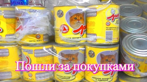 Магазина Светофор обзор цен. Корм для кошек и собака, продукты и обувь