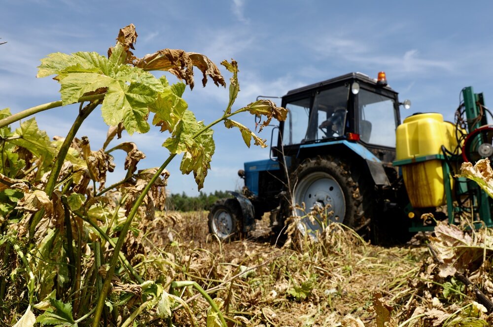    ©Агентство городских новостей "Москва"