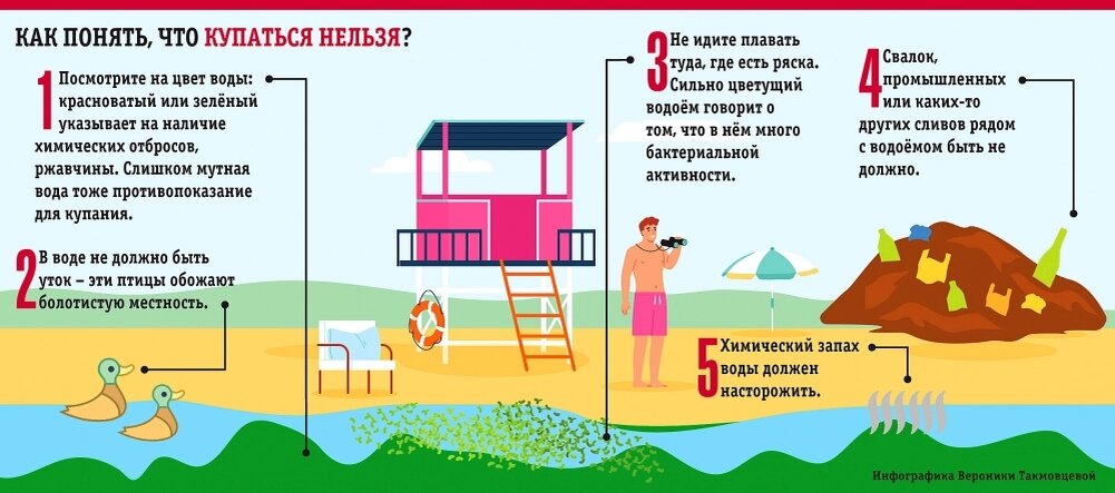    Фото:  АиФ/ Вероника Такмовцева