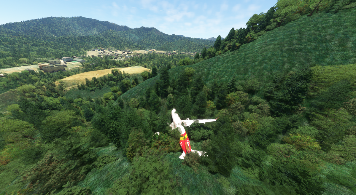 Ни один пассажир и член экипажа не пострадал. Экстренная посадка для любования просторами