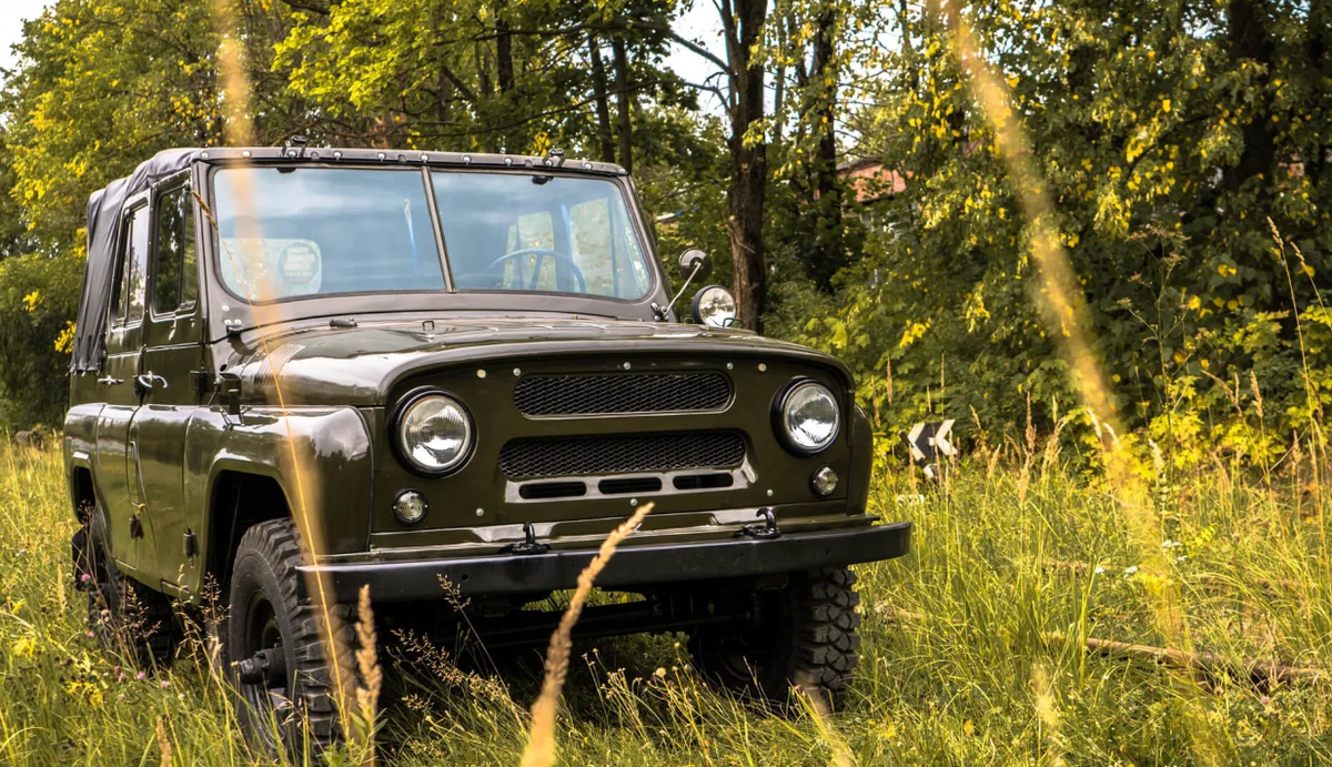 фото из интернета