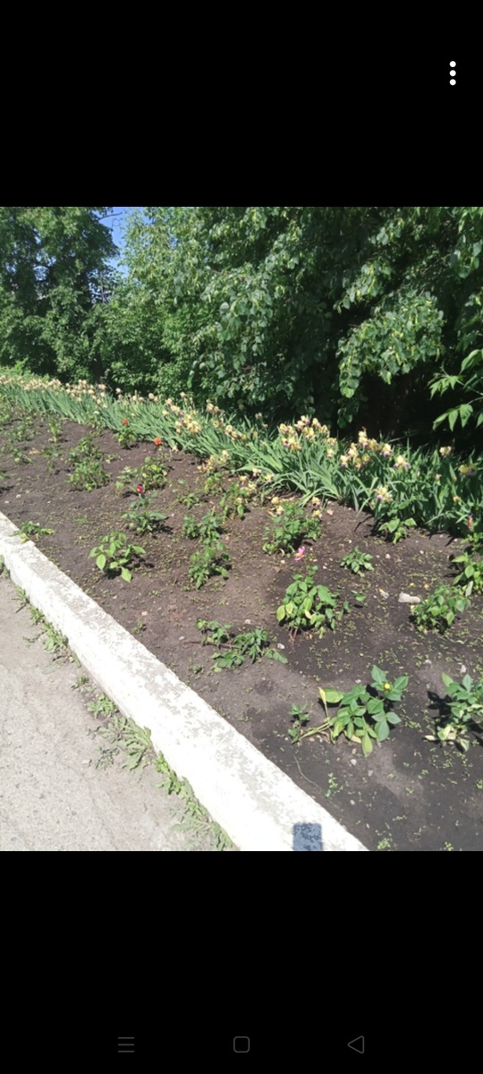 Если очень бодро бегать по городу, можно многое увидеть😊 и ещё больше пропустить.  Не так давно я где-то упоминала, что наш город начали масштабно облагораживать совсем недавно.