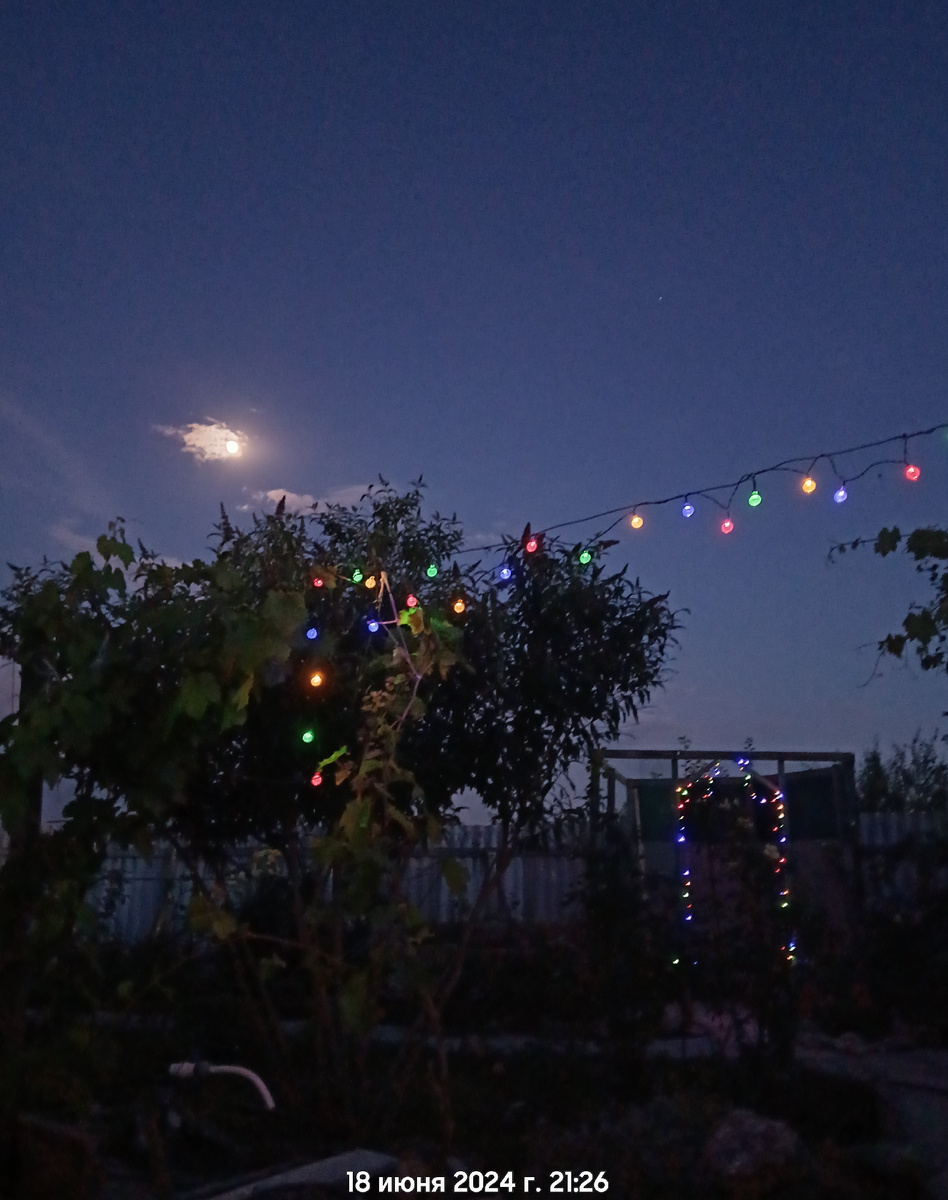 И вот однажды в сумерках... | Афган. Сибирь. Крым. | Дзен