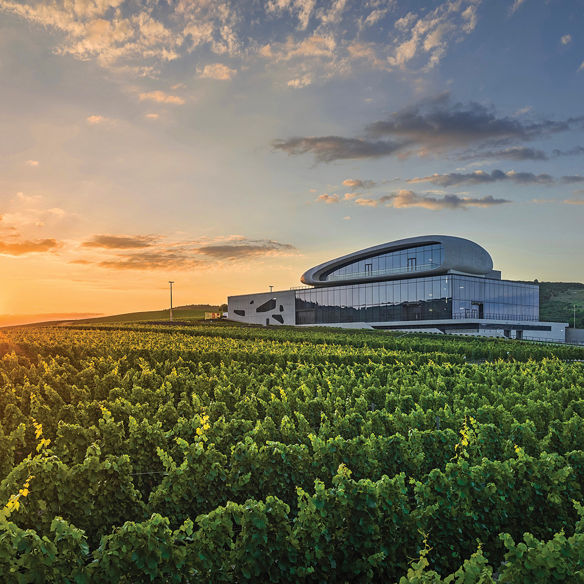 «Скалистый берег»