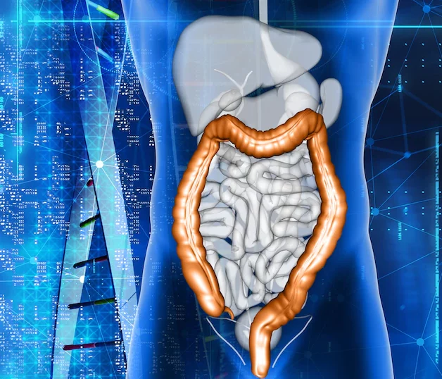 Фото: ru.freepik.com/freepik