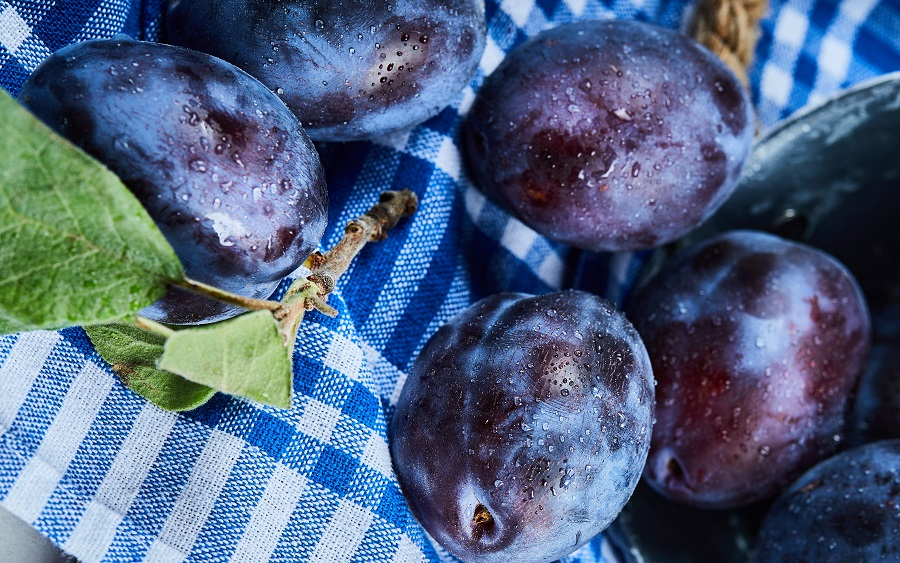 Фото: freepik.com/azerbaijan-stockers