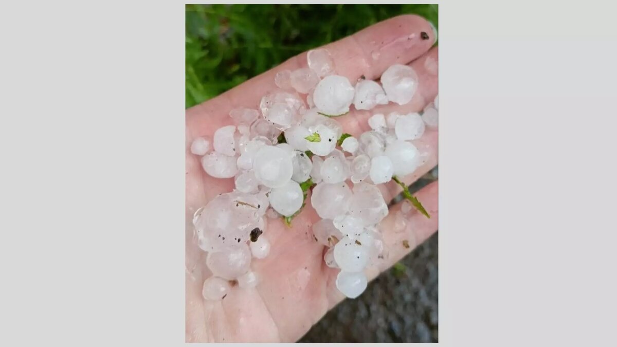     Источник: VK/Александр Чирков