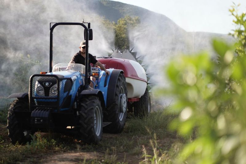 Фото из свободных источников