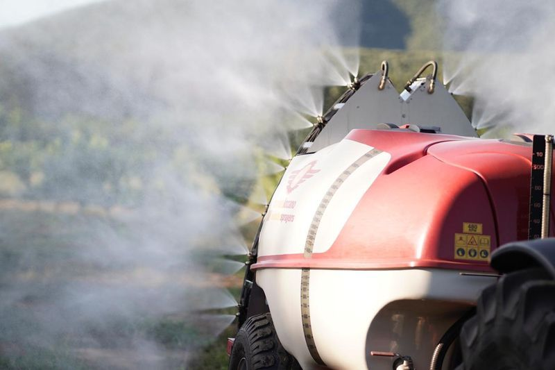 Фото Manez Lozano