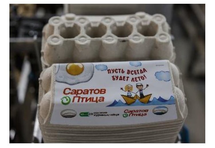    Саратовская птицефабрика планирует довести поголовье птицы до 72 тысяч после установки китайского оборудования