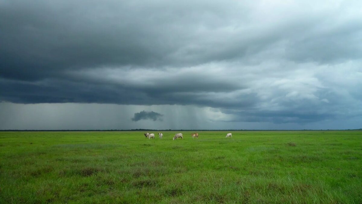     Источник: pxhere.com