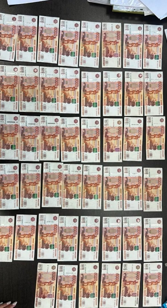 Фото: ГУ МВД РФ по Петербургу и области