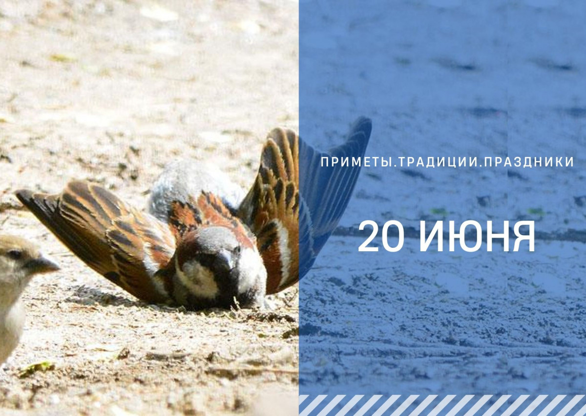   ГТРК "Ставрополье"