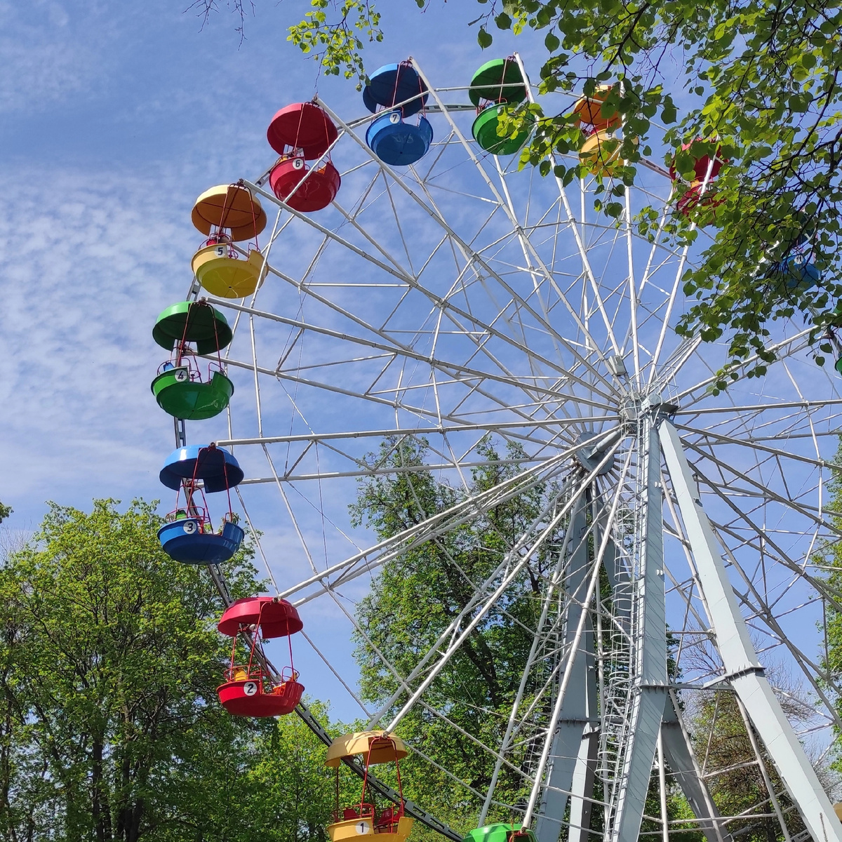 Фото из личного архива 