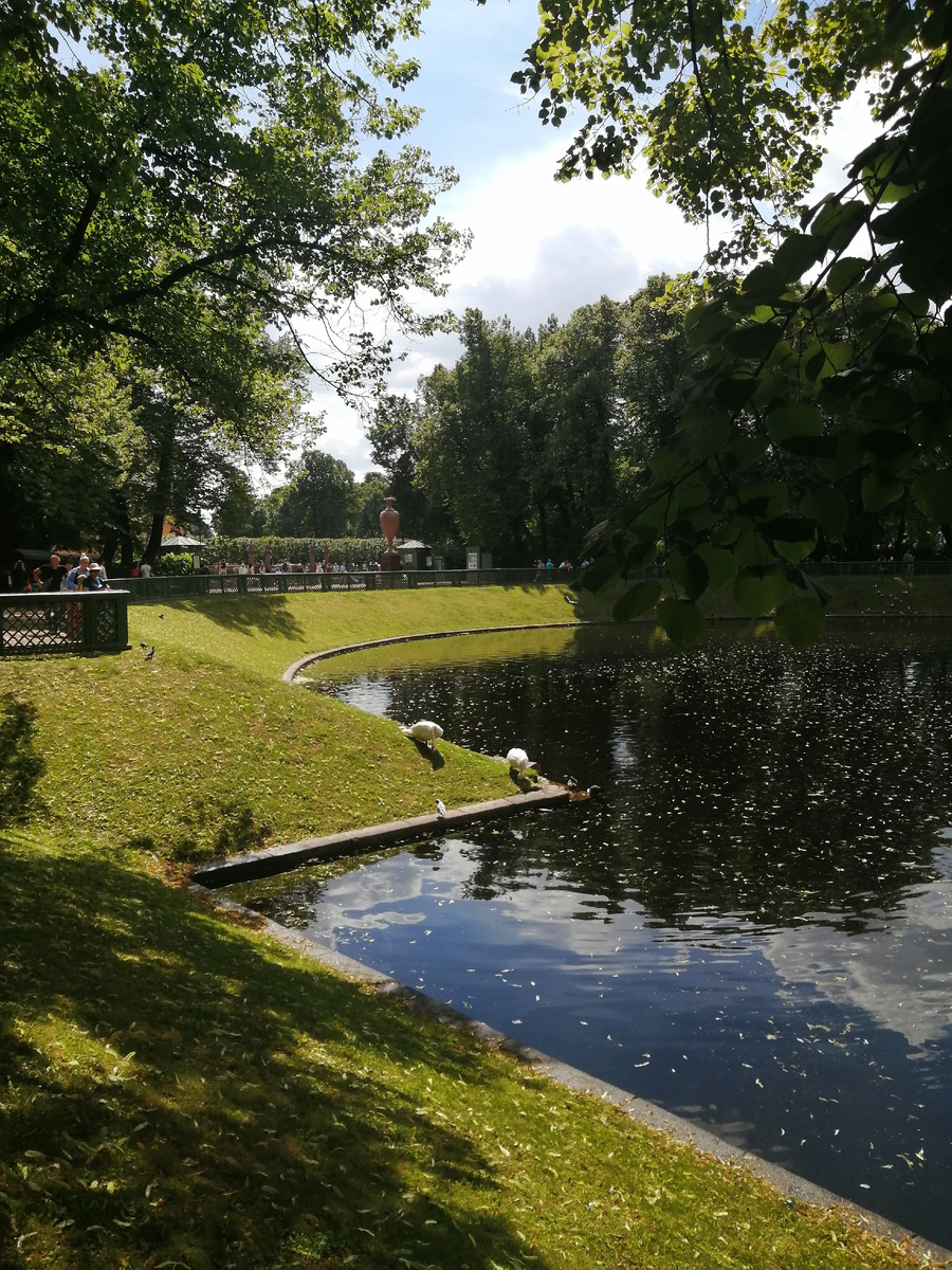 Карпиев пруд.