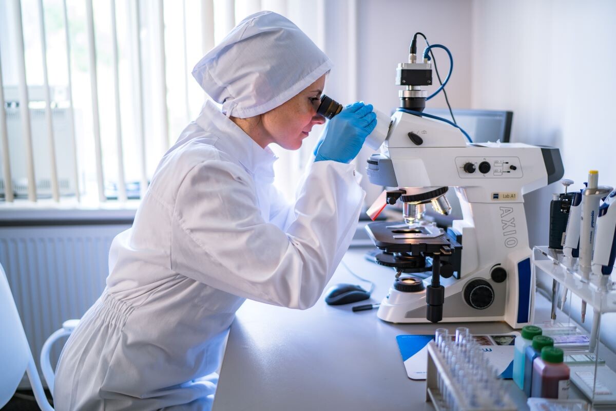 Фото: Александр Плонский 