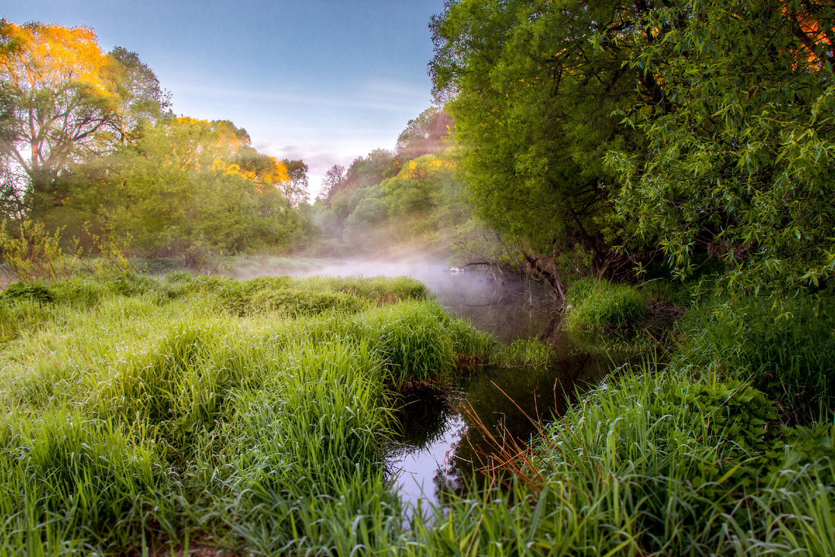 Рассвет на реке