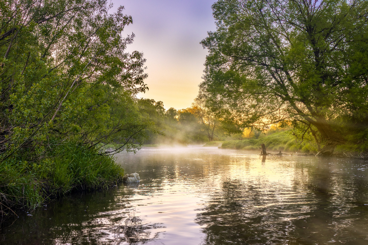 Солнце красит желтым цветом воды утренние реки