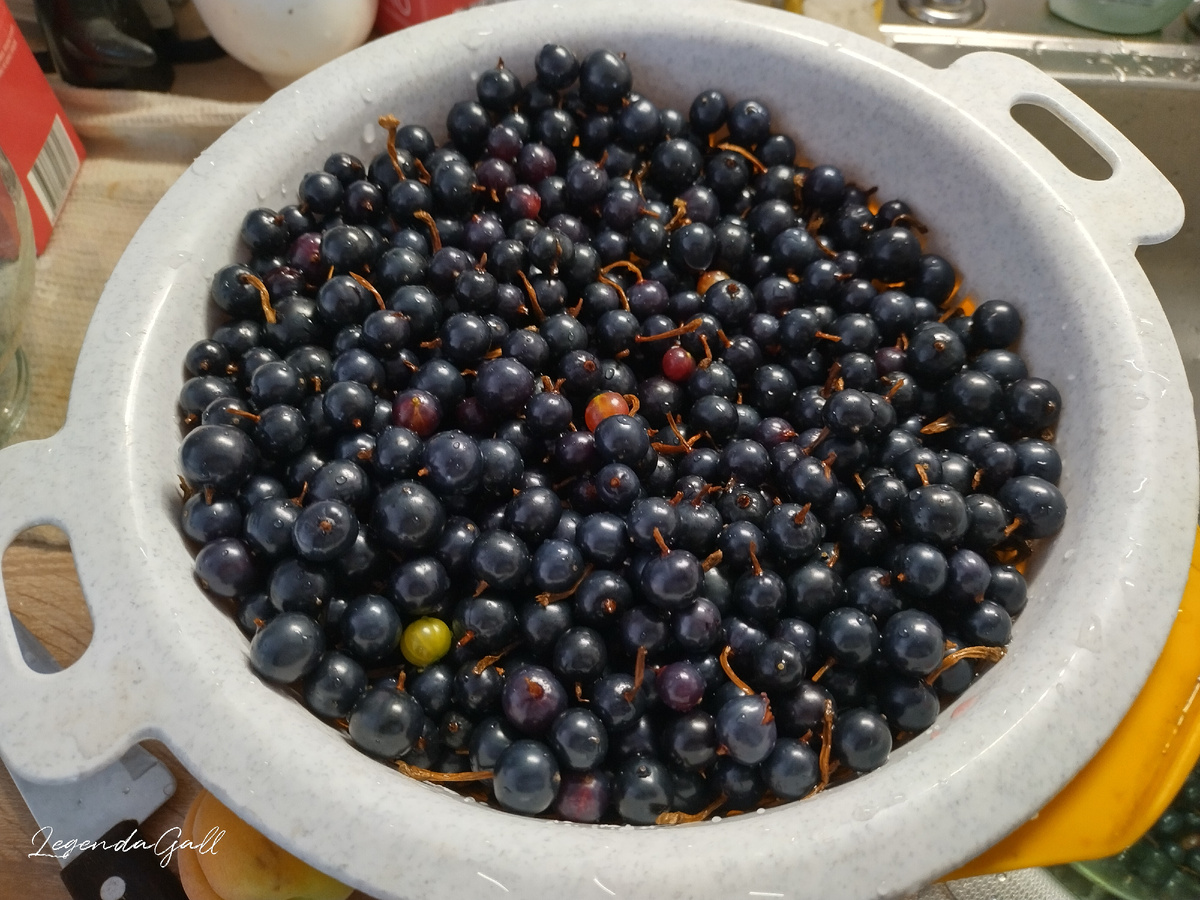 Золотистая смородина. Не стала незрелые ягоды выкидывать, пусть будут...