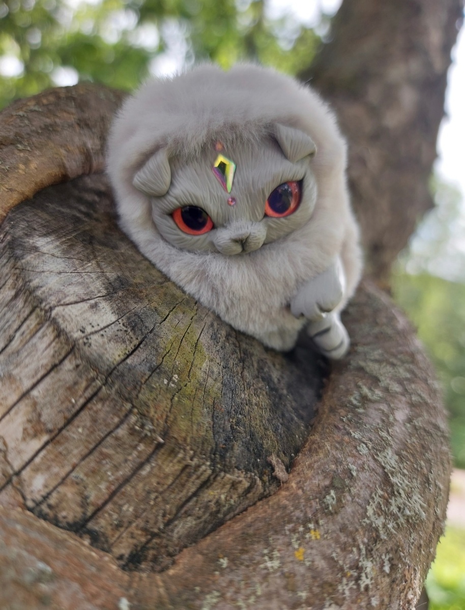 Маленький серый котенок