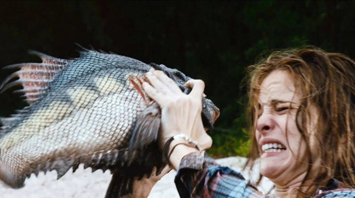 источник: yandex.ru