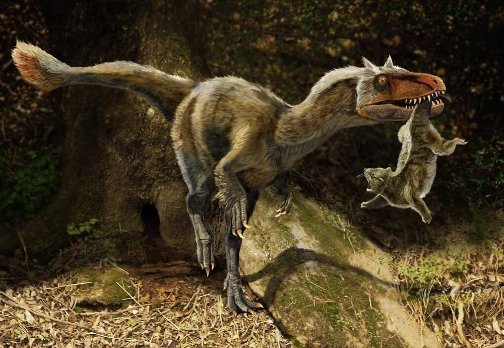 За что котика то???