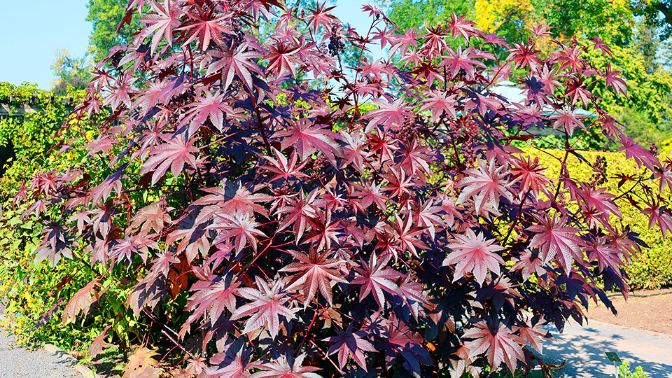 Фото: shutterstock.com