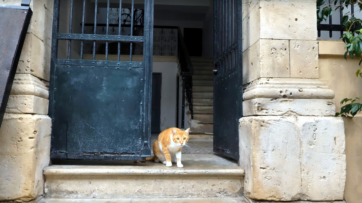 Измерения направления фасада делаем перед входной дверью в дом, поскольку вход - это рот Ци, через который энергия поступает внутрь дома. 