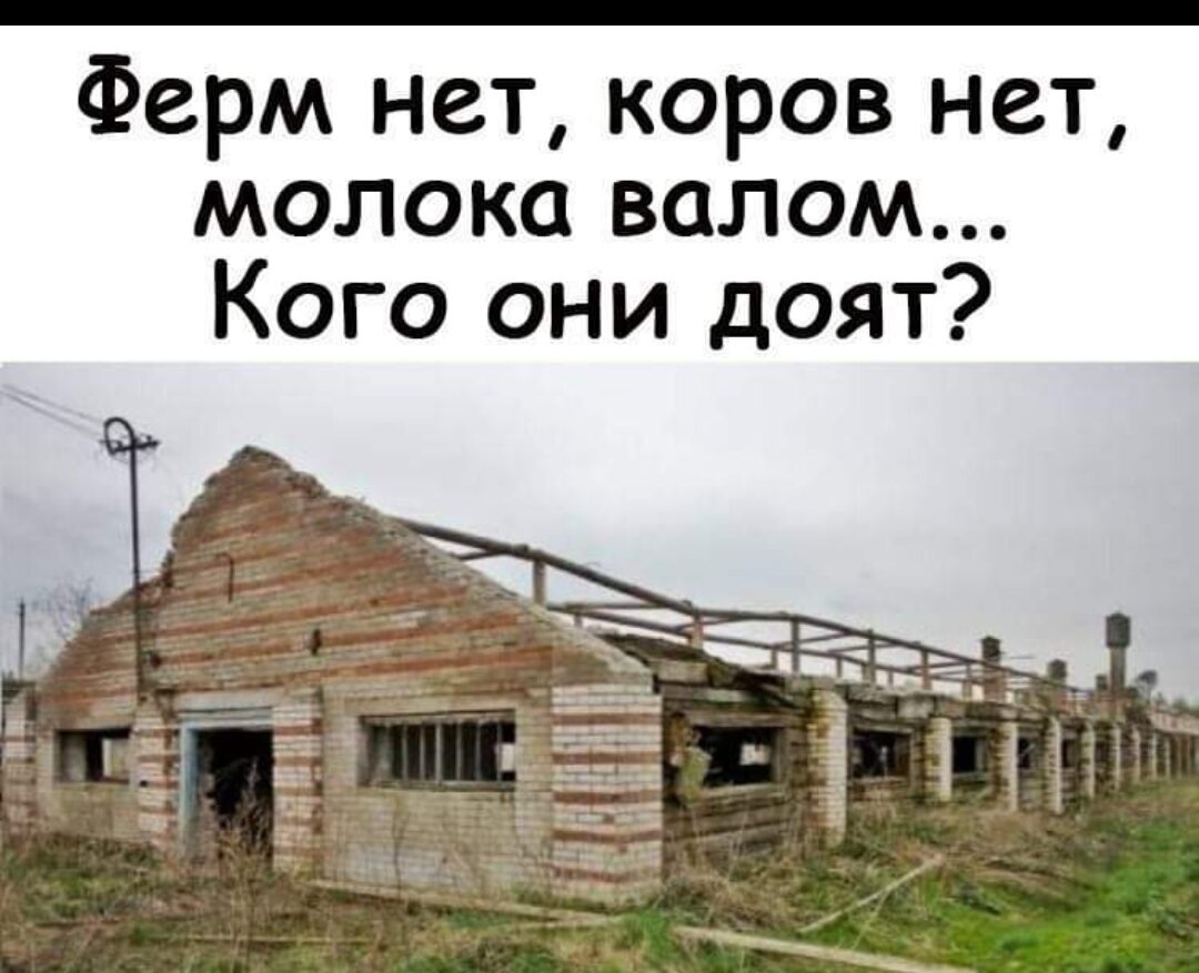 Вот такими картинками доказывают, что коров нет. 