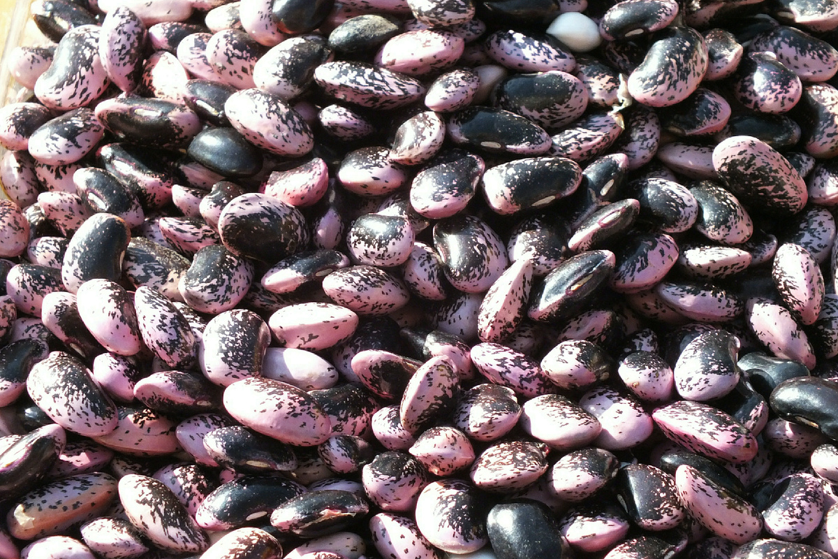 Фасоль - это мечта каждого уважающего и ценящего себя гурмана, не обременяющего себя муками готовки. Victor Lisitsyn /Global Look Press