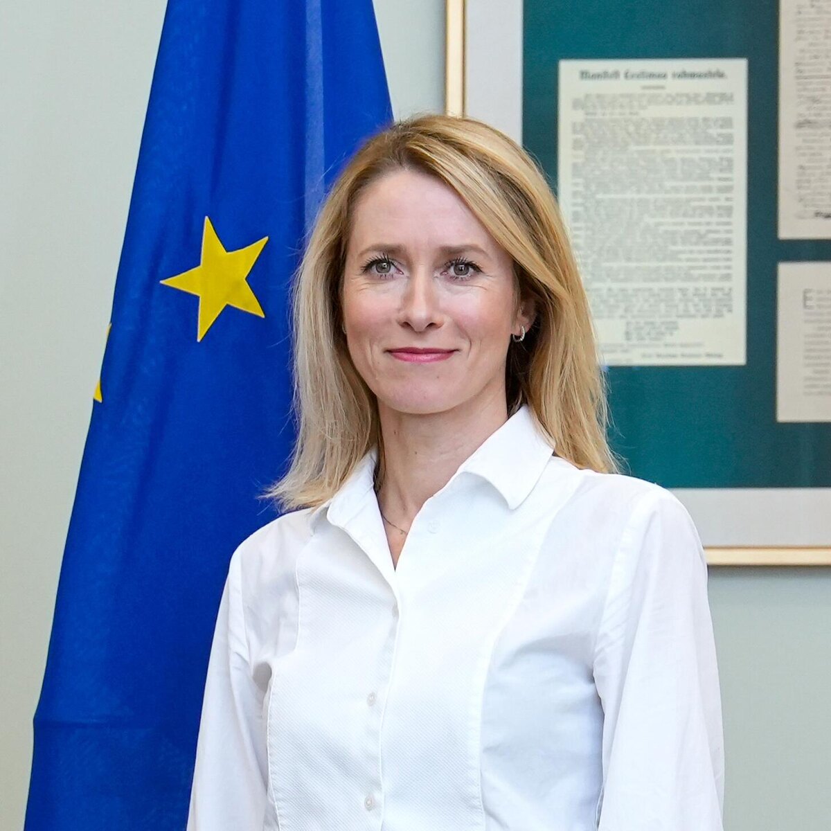 Каллас спит и видит, как переехать в Брюссель © CC BY-SA 2.0 / Saeima / Juris Vigulis