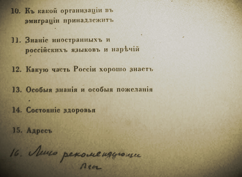 Анкета для русских добровольцев, составленная не без помощи СД