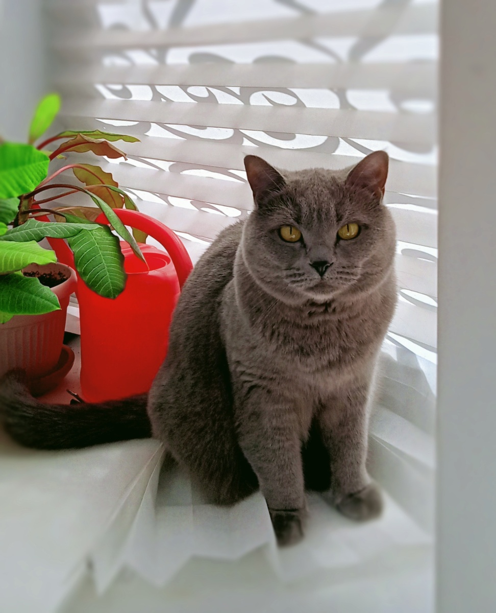 Шане 5 лет. 19 июня.