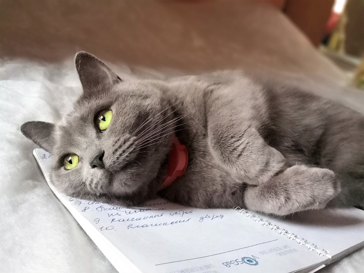 Шане два года.