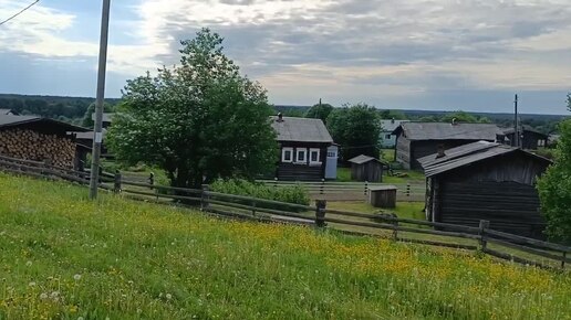 Началась борьба с сорняками на огороде. Что с Туланом? Река пошла на спад.