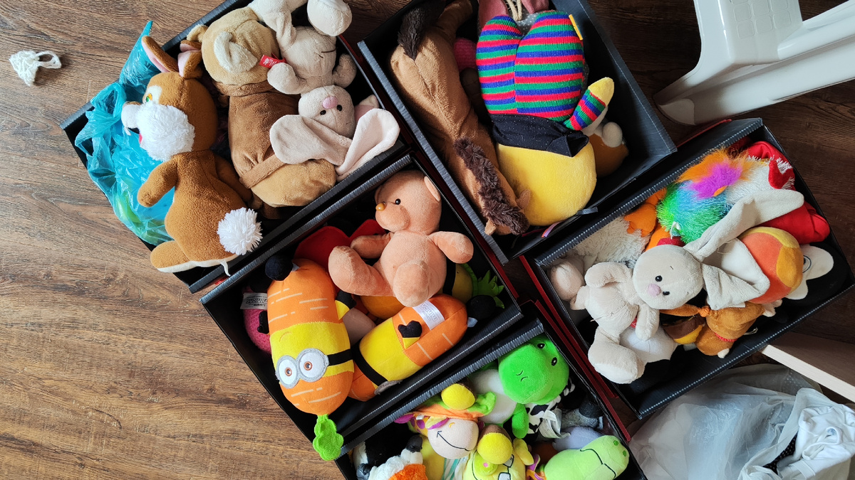 Вот так сортируем по коробкам. Зайцы к зайцам, коты с котами и тд