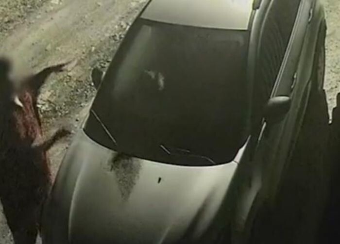 Источник фото: Don Mash