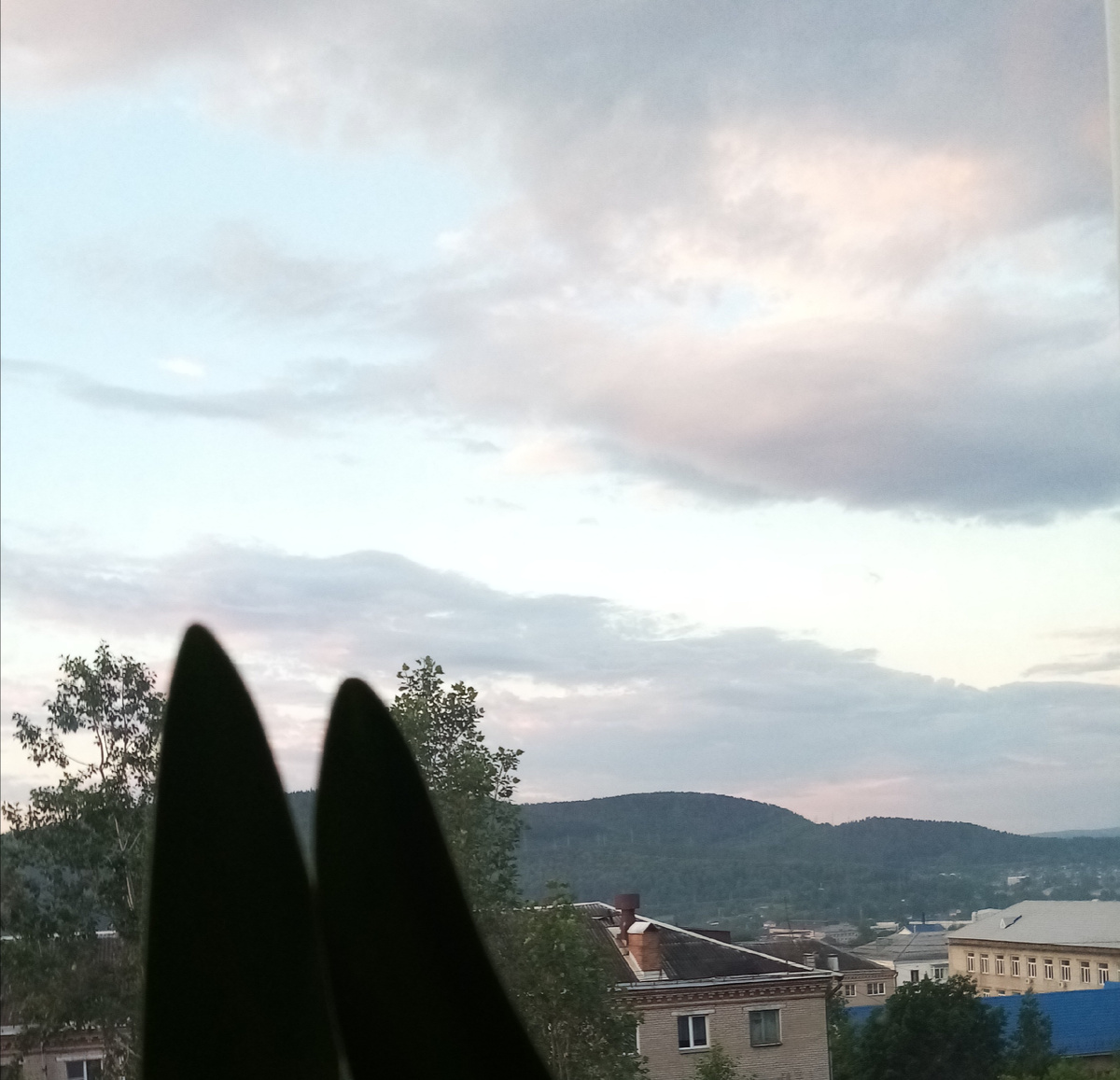 Тучи забродили. 