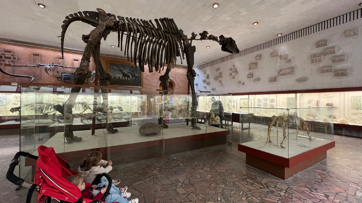 Наше недалекое будущее, вымирание многодетных семей.