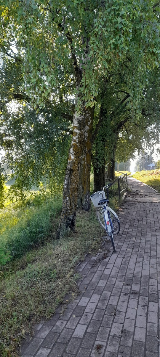 Это я еду на работу в семь утра))) Утро выдалось солнечным!