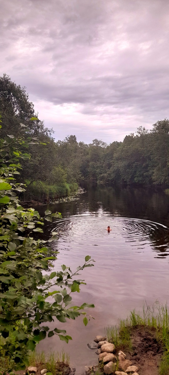 Судите сами(((