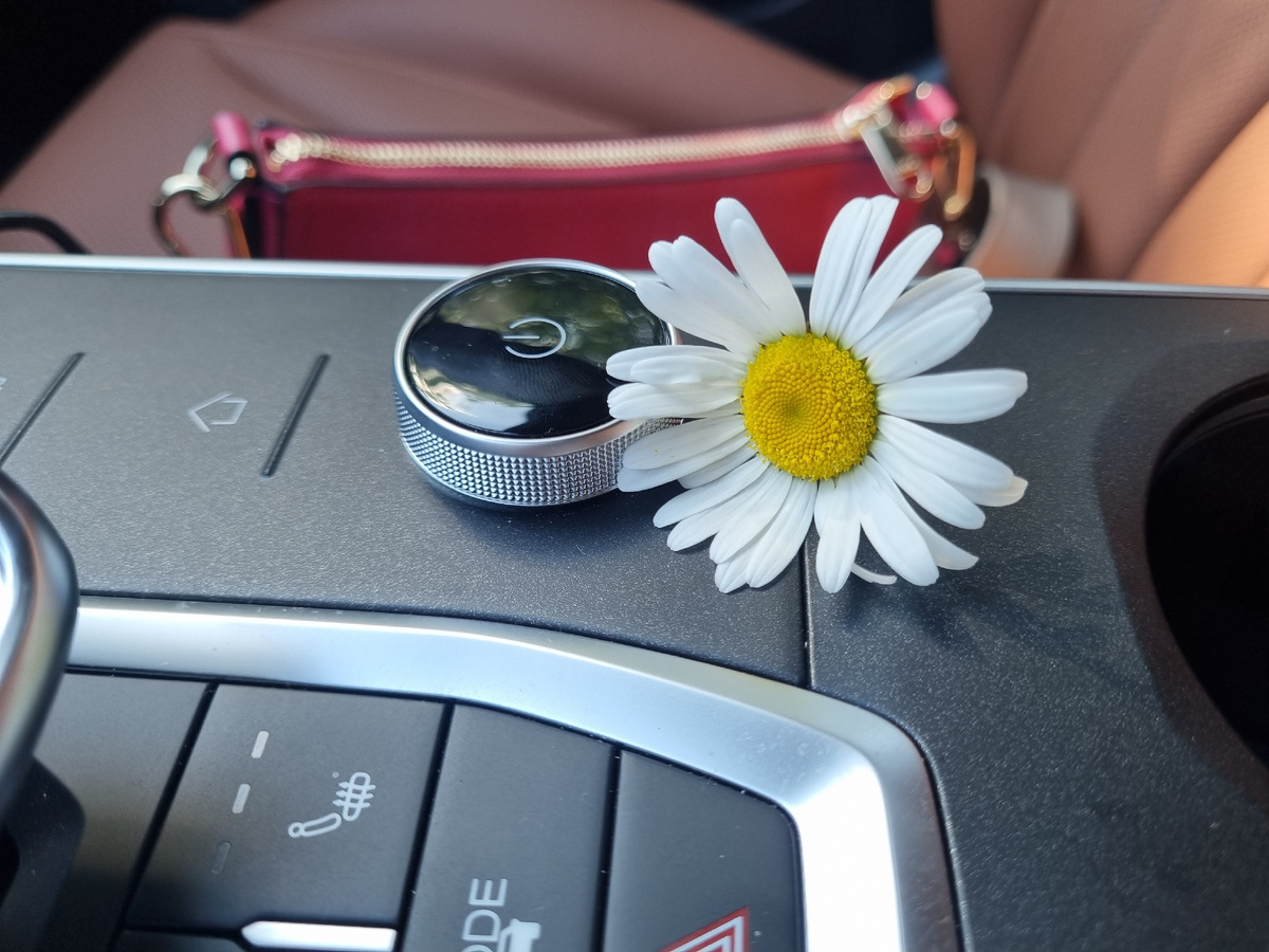 Ромашка от дочки