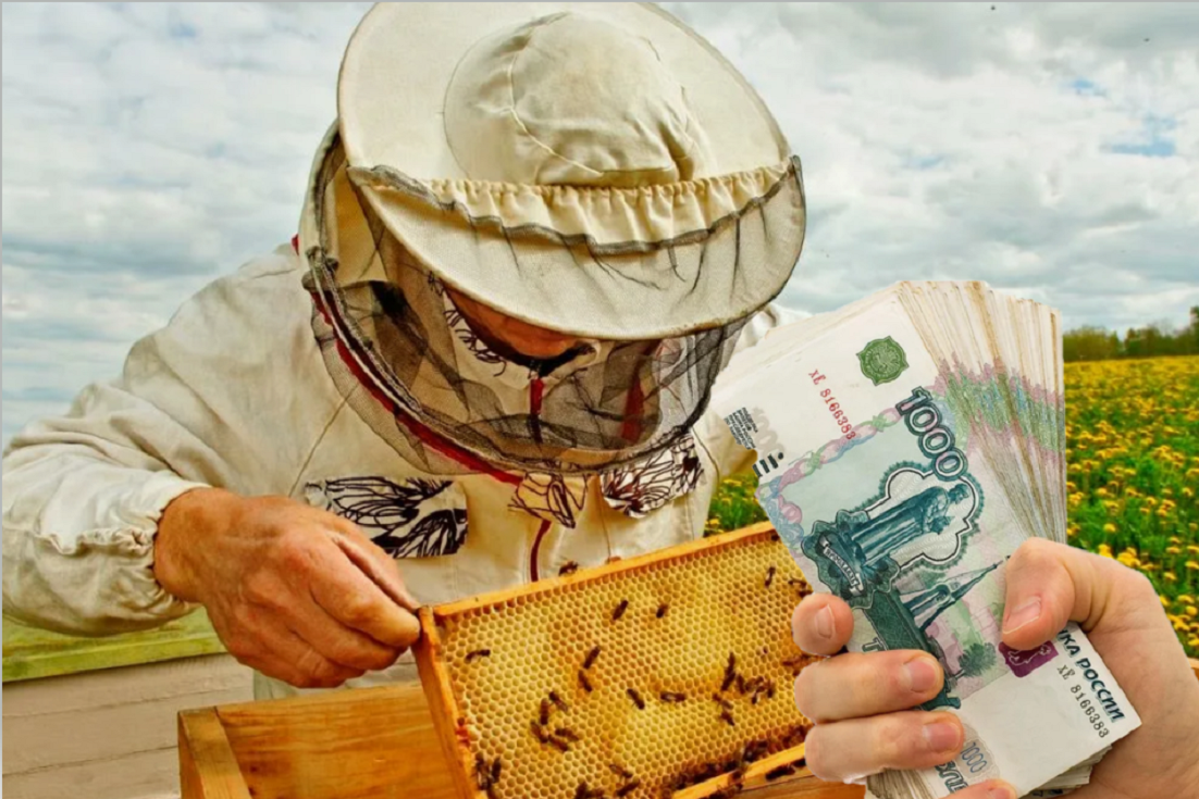 Спрос на хороший мед в нашей стране всегда был высокий. Это для россиян почти стратегический продукт. Но многие ли задумывались о бизнесе на пчелах?