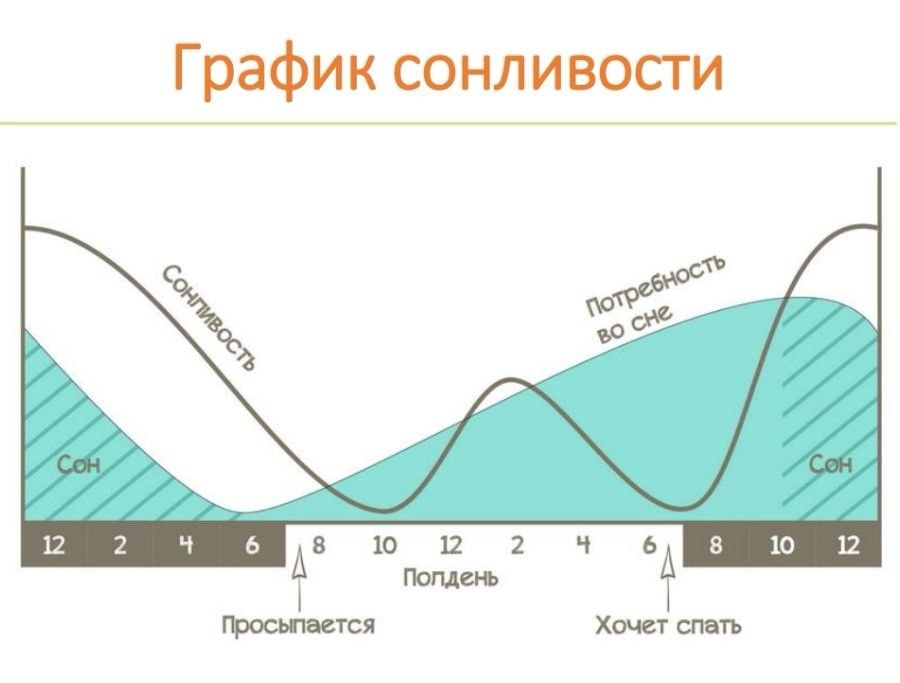 *График сонливости 