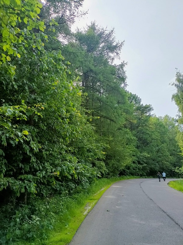 Вот по такой центральной аллее можно прогуляться посетителям