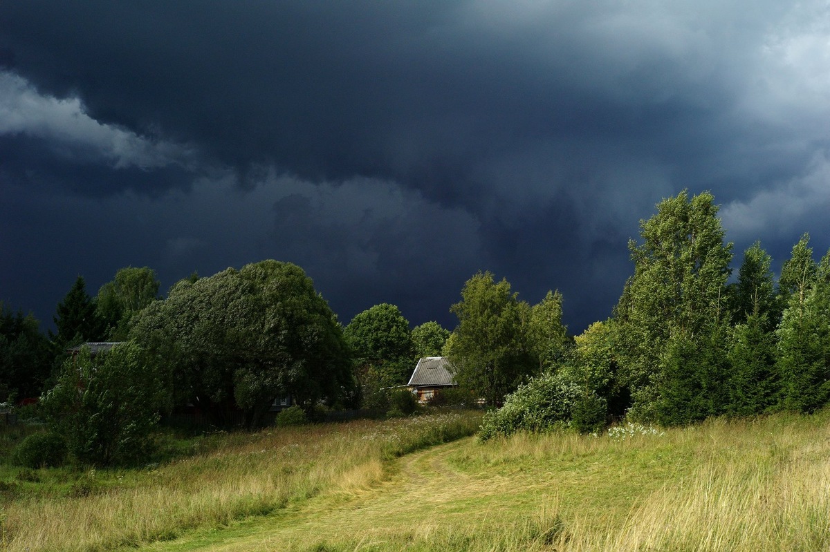 Фото из открытого источника