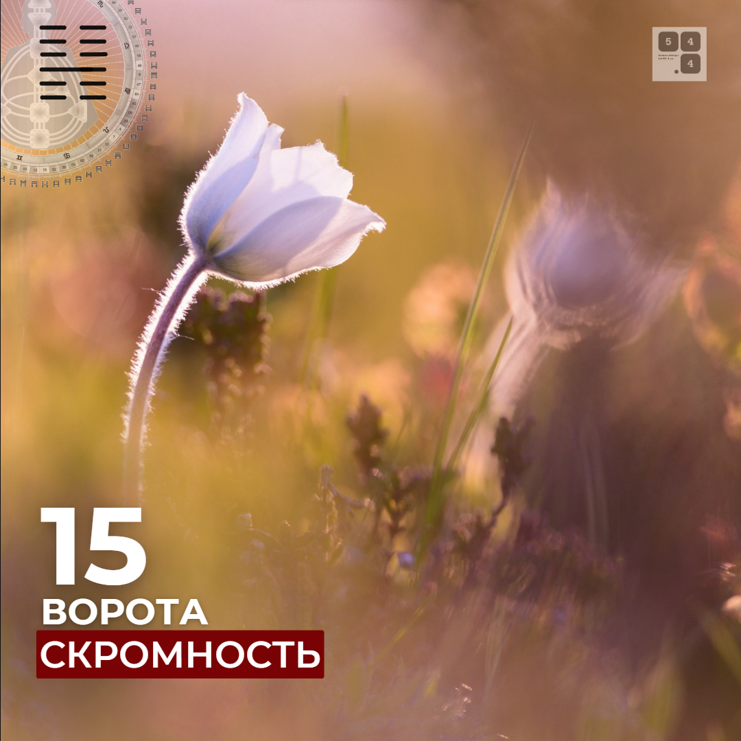 15 ворота Скоромность #дизайнчеловека